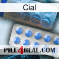 Cial 40